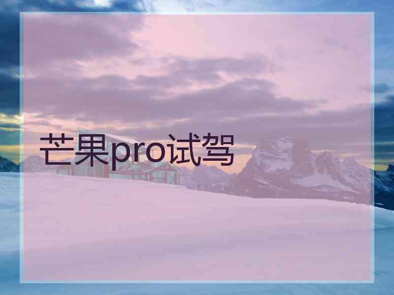 芒果pro试驾