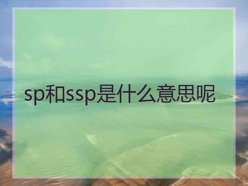 sp和ssp是什么意思呢