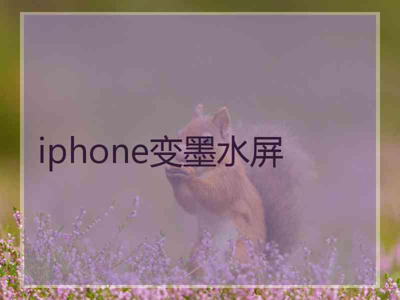 iphone变墨水屏