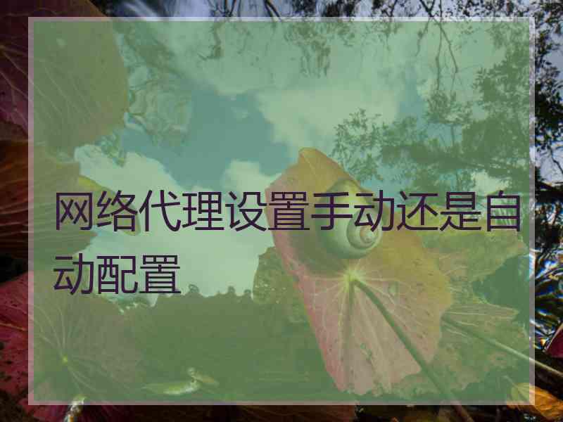 网络代理设置手动还是自动配置
