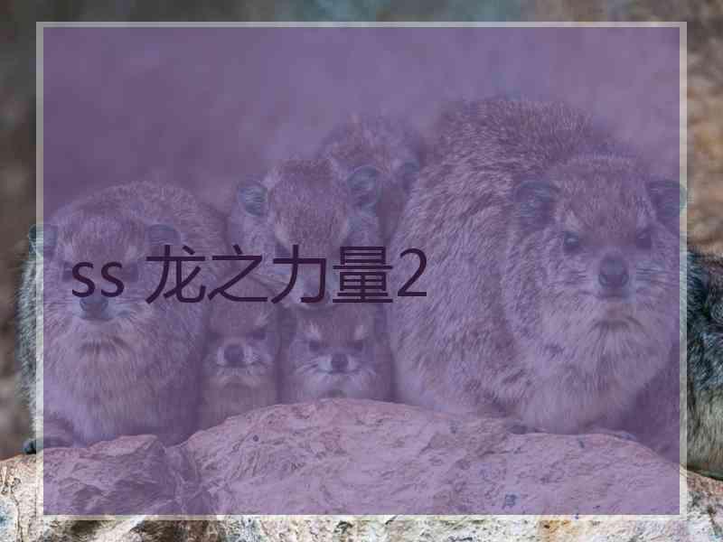 ss 龙之力量2