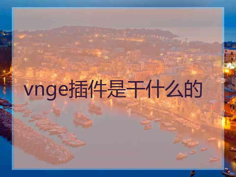vnge插件是干什么的
