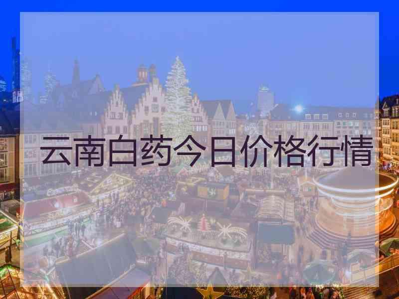 云南白药今日价格行情
