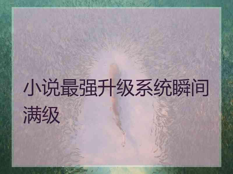 小说最强升级系统瞬间满级