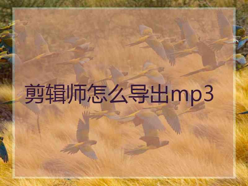 剪辑师怎么导出mp3