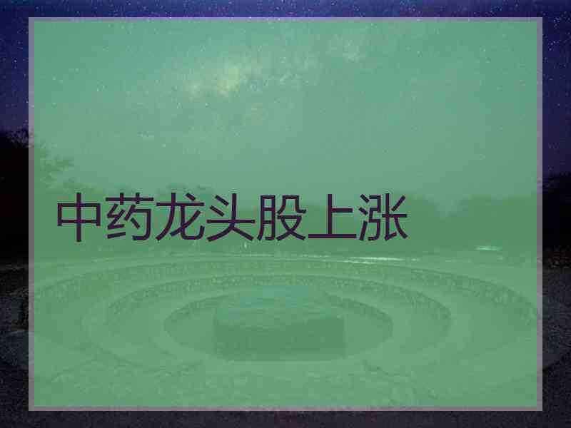 中药龙头股上涨