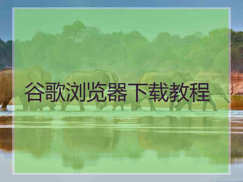 谷歌浏览器下载教程