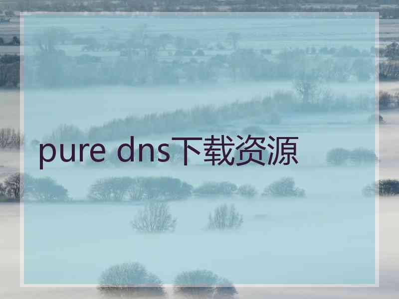 pure dns下载资源
