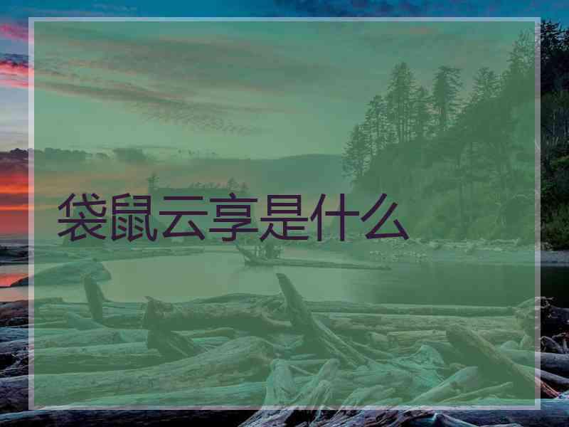 袋鼠云享是什么