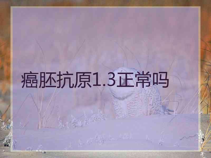 癌胚抗原1.3正常吗