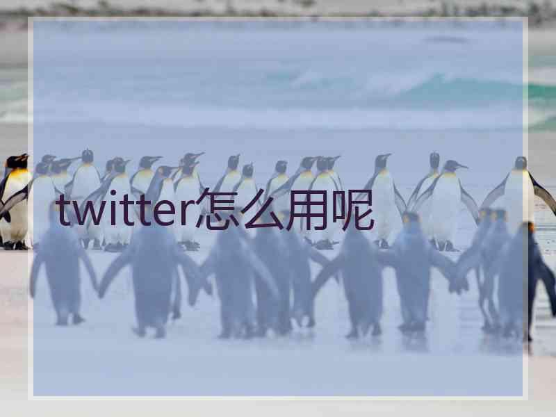 twitter怎么用呢