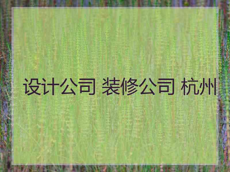 设计公司 装修公司 杭州