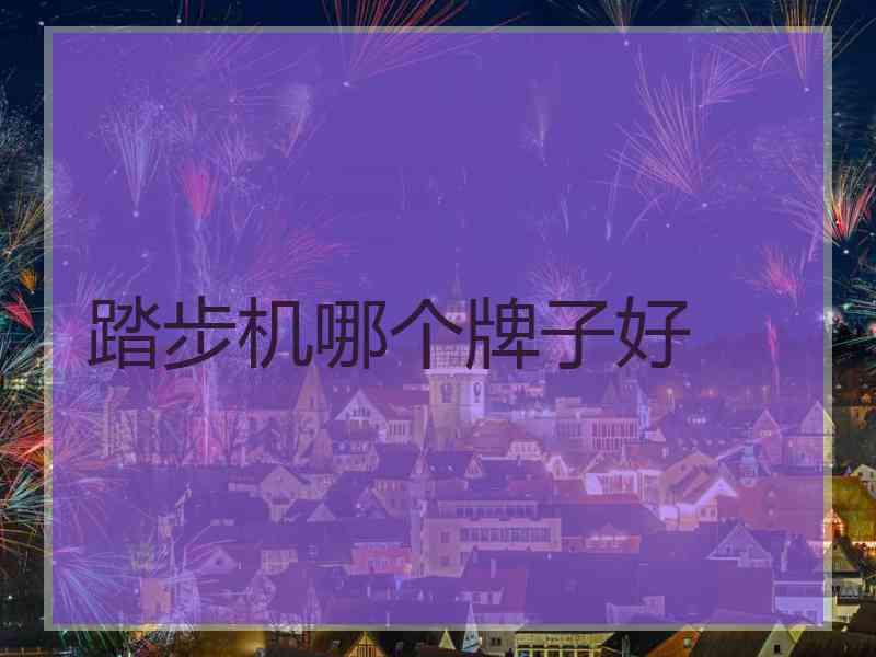踏步机哪个牌子好