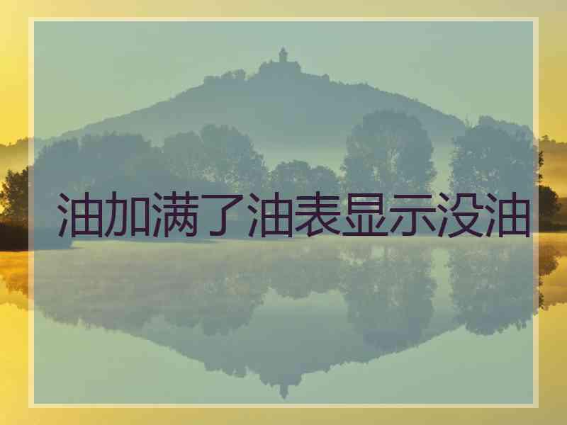 油加满了油表显示没油