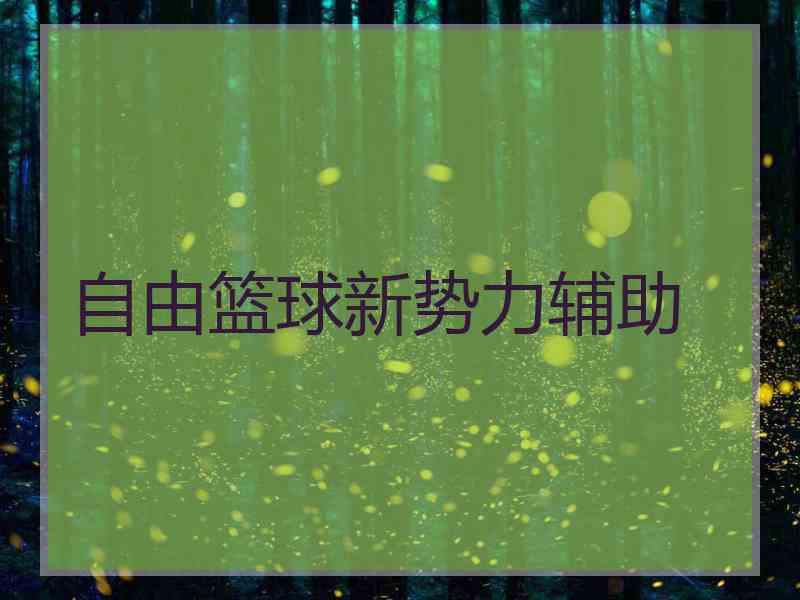 自由篮球新势力辅助