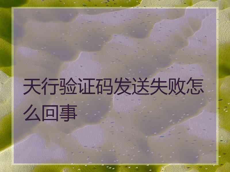 天行验证码发送失败怎么回事