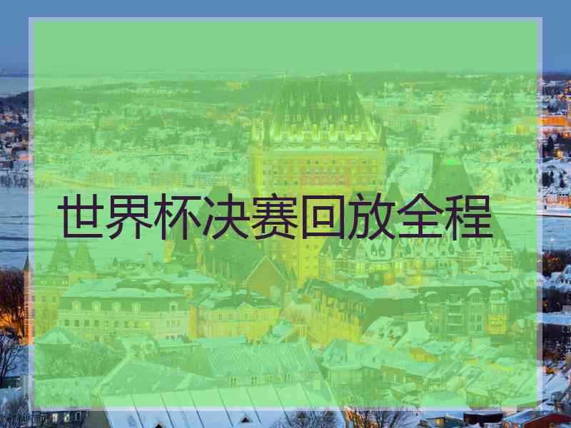 世界杯决赛回放全程