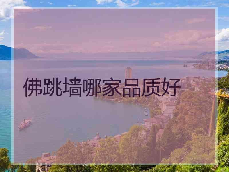佛跳墙哪家品质好