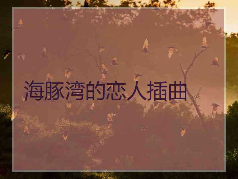 海豚湾的恋人插曲