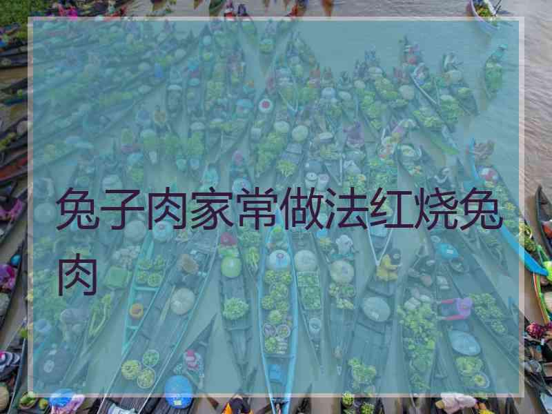 兔子肉家常做法红烧兔肉