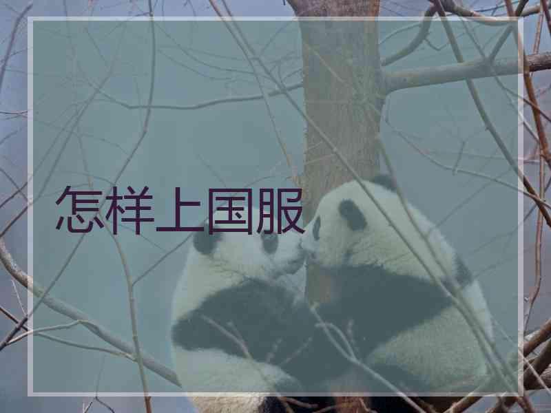 怎样上国服