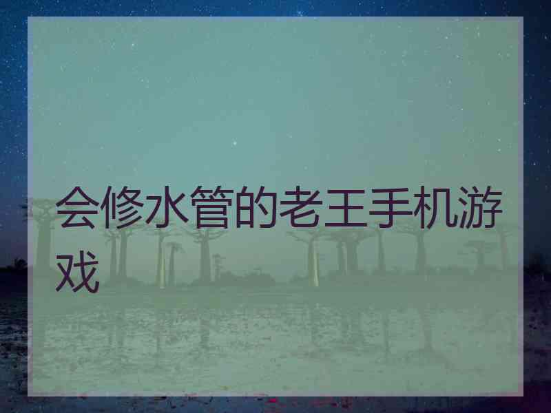 会修水管的老王手机游戏
