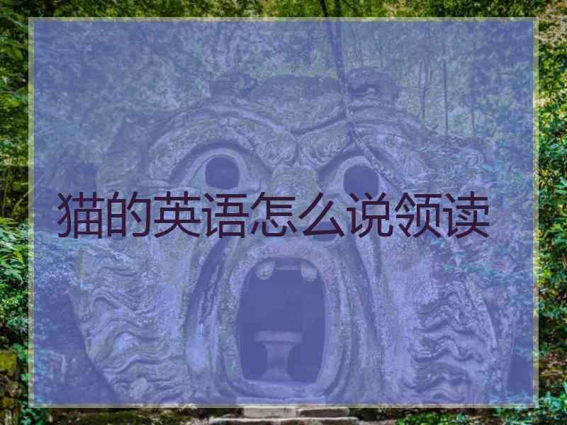 猫的英语怎么说领读
