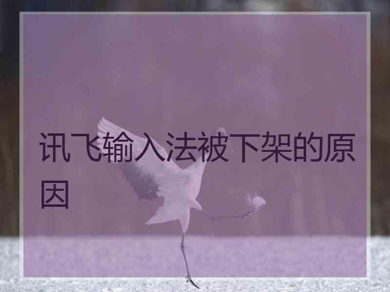 讯飞输入法被下架的原因