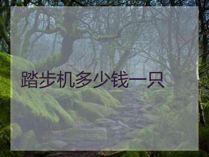 踏步机多少钱一只