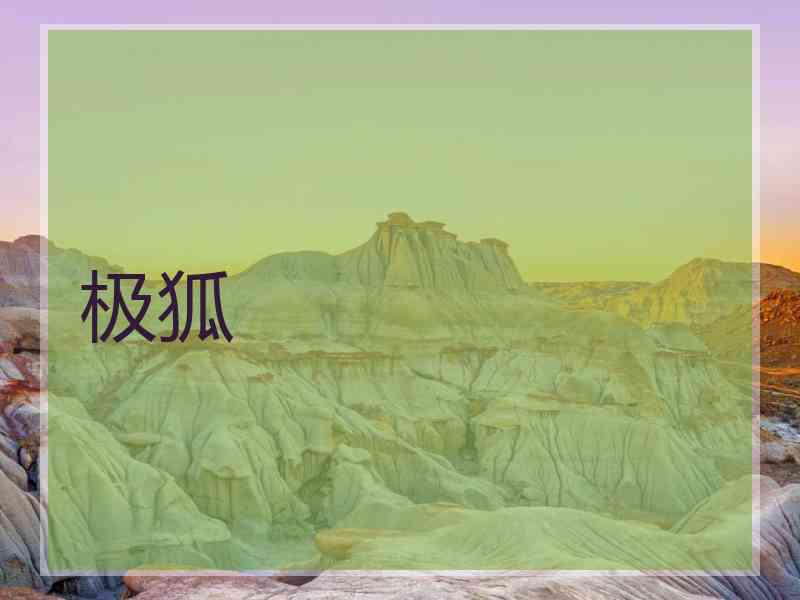 极狐
