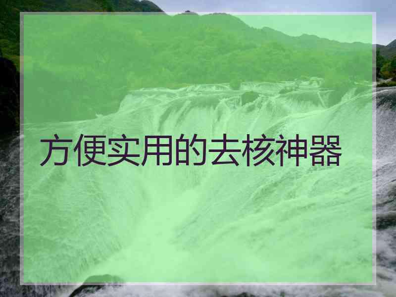 方便实用的去核神器