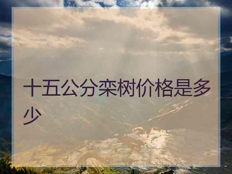 十五公分栾树价格是多少