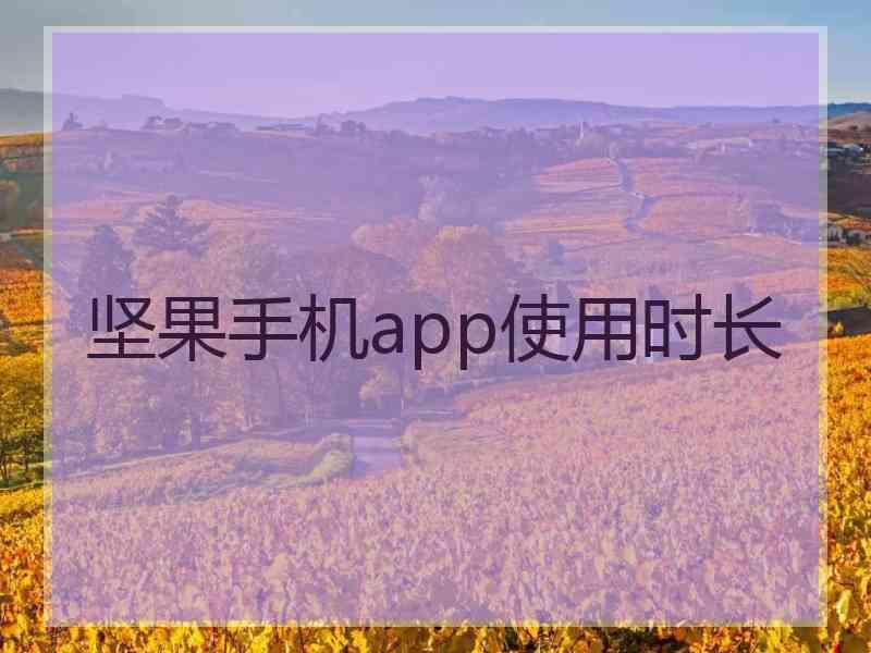坚果手机app使用时长
