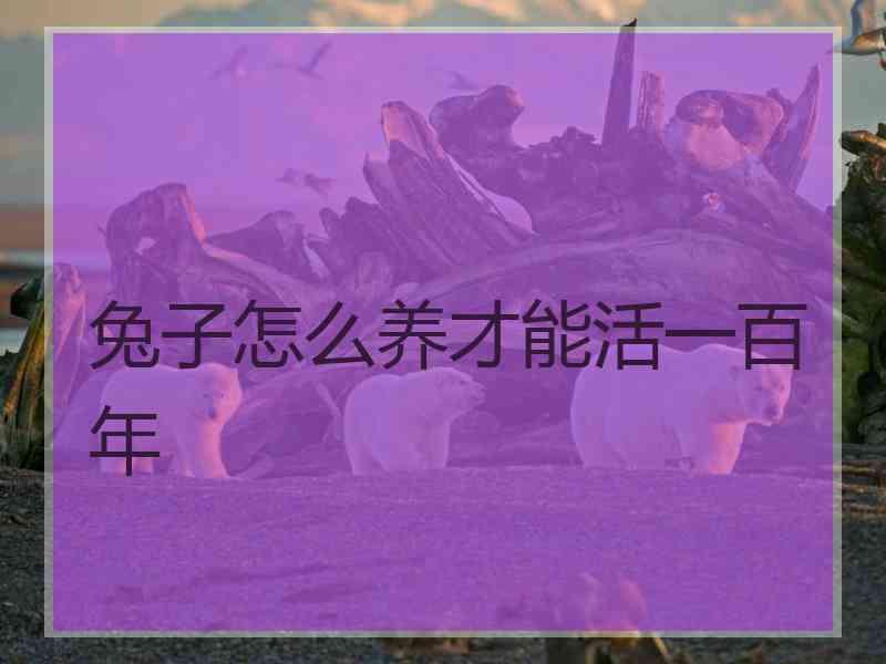 兔子怎么养才能活一百年