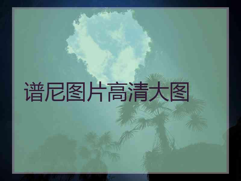 谱尼图片高清大图