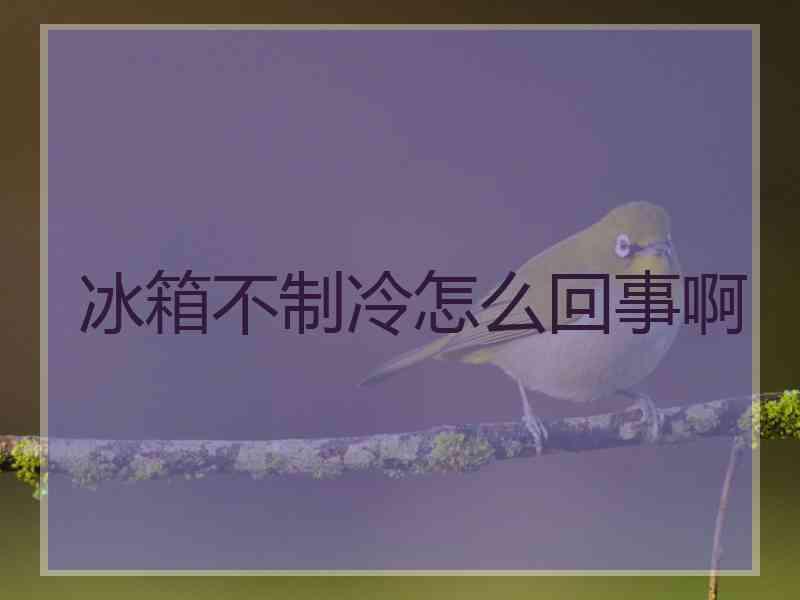 冰箱不制冷怎么回事啊