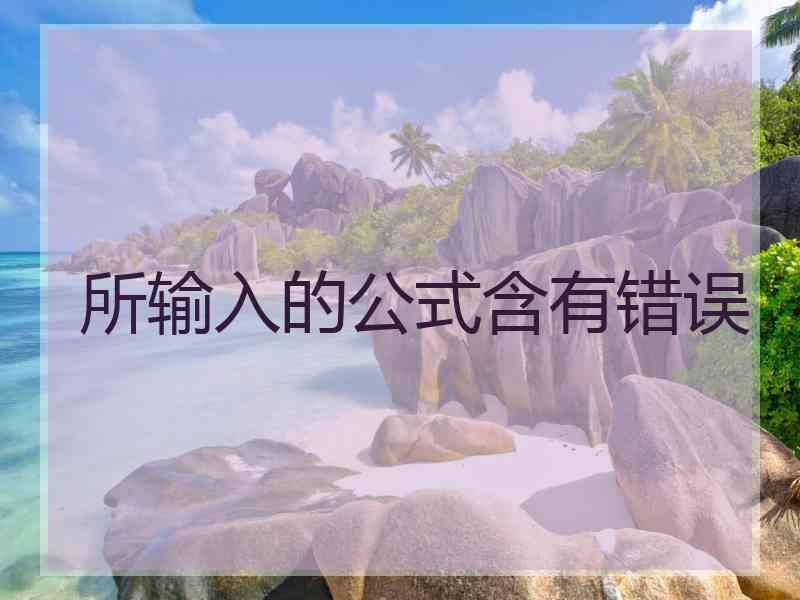 所输入的公式含有错误