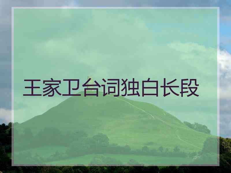 王家卫台词独白长段