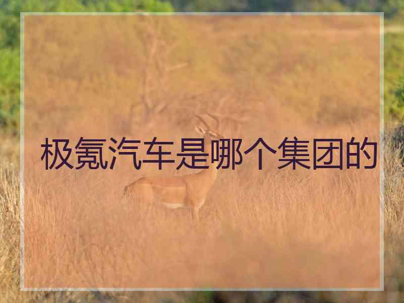 极氪汽车是哪个集团的