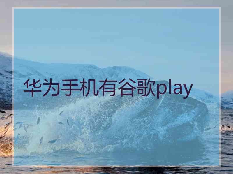 华为手机有谷歌play