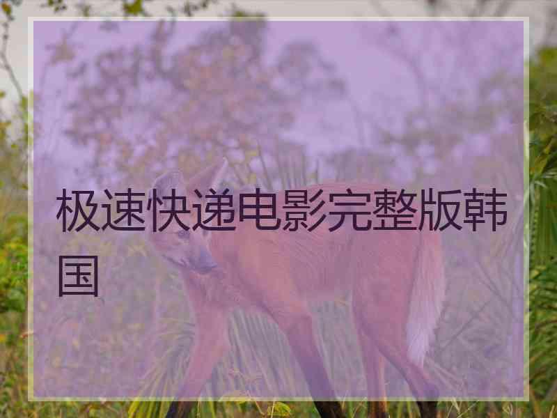 极速快递电影完整版韩国