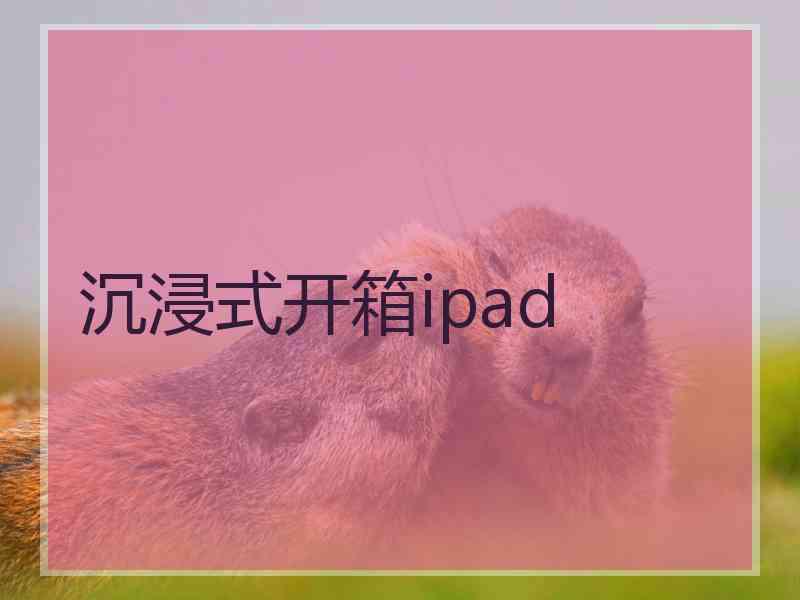 沉浸式开箱ipad