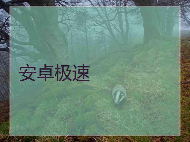安卓极速