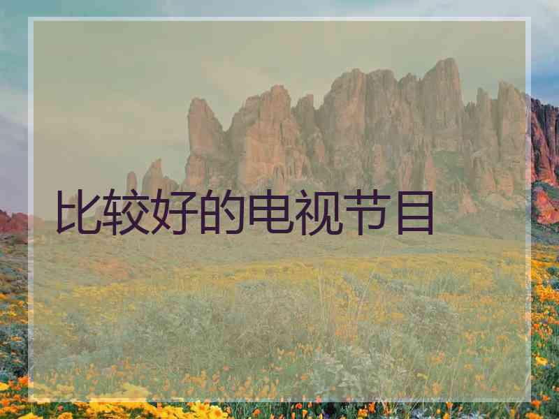 比较好的电视节目