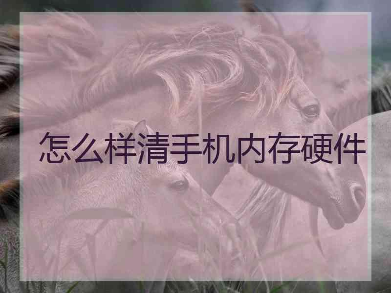 怎么样清手机内存硬件