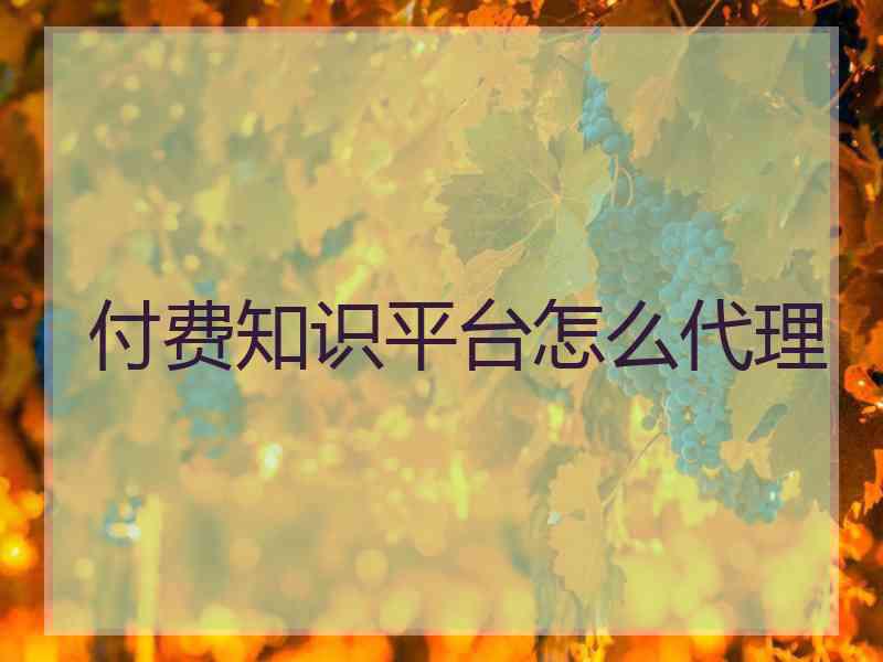 付费知识平台怎么代理