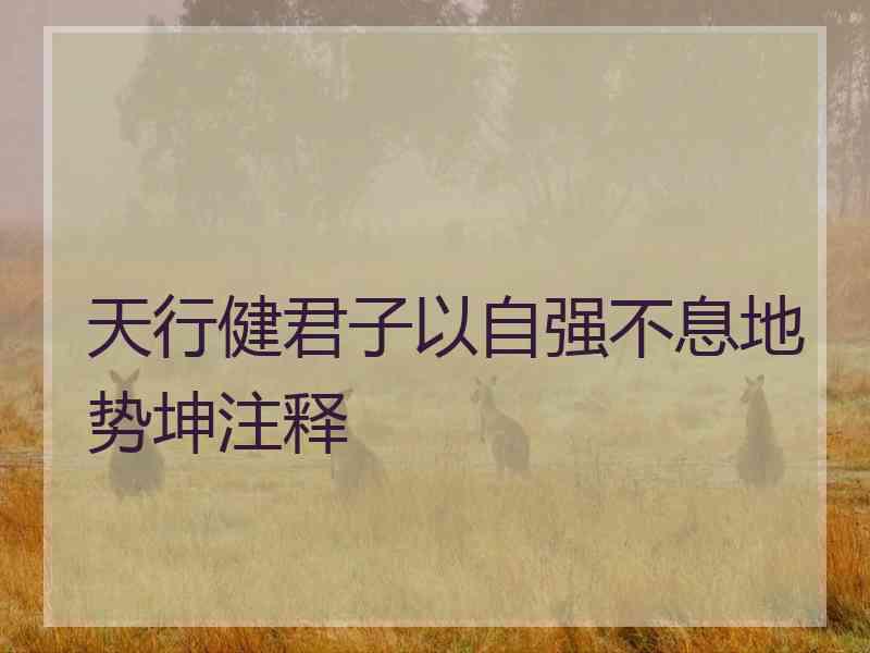 天行健君子以自强不息地势坤注释