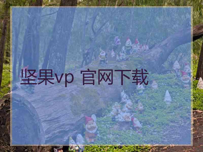 坚果vp 官网下载