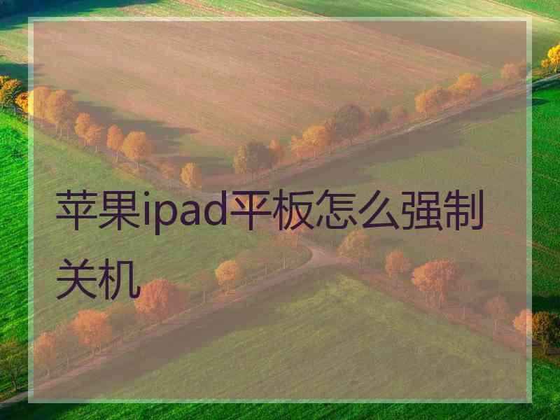 苹果ipad平板怎么强制关机