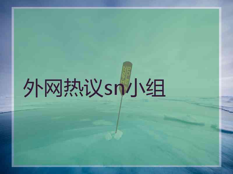 外网热议sn小组